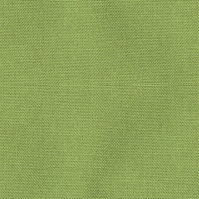 ALHAMBRA FABRICS-B8 00030573-TAOS BRUSHED-GINKO