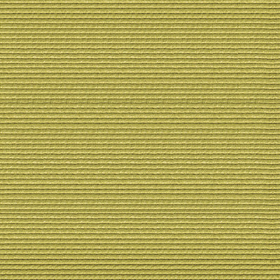 ALHAMBRA FABRICS-B8 00050147-OXYGEN-SPRING GREEN