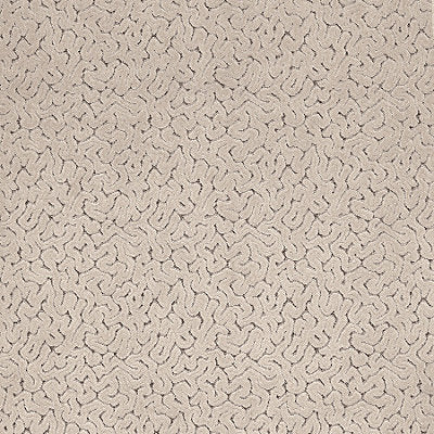 Alhambra Fabrics , a selection of fabrics such as velvet, damask, cotton, silk, linen and sheers.