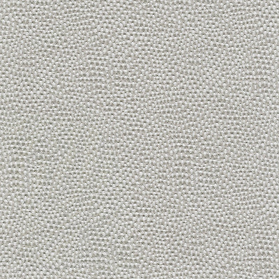 ALHAMBRA FABRICS-B8 0010AMWD-AMARE WIDE-PLATINUM