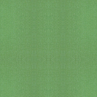 ALHAMBRA FABRICS-B8 00331100-ASPEN BRUSHED WIDE-APPLE GREEN