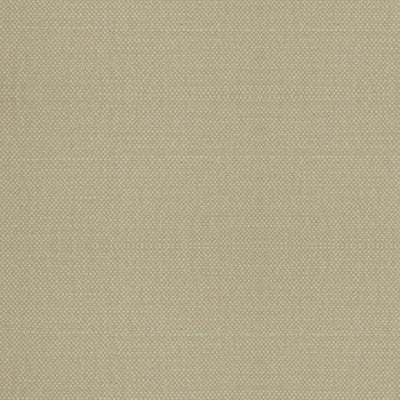 ALHAMBRA FABRICS-B8 00367112-ASPEN BRUSHED-ACID GOLD