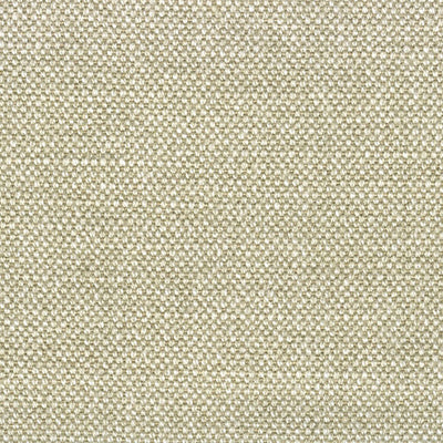 ALHAMBRA FABRICS-B8 00411100-ASPEN BRUSHED WIDE-SAND DOLLAR