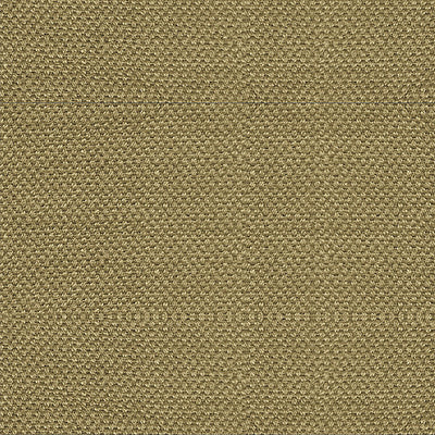 ALHAMBRA FABRICS-B8 00462785-SCIROCCO WIDE-ANTIQUE GOLD