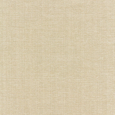 BORIS KROLL FABRICS-BK 0002K65114-THOMPSON CHENILLE-WHEAT