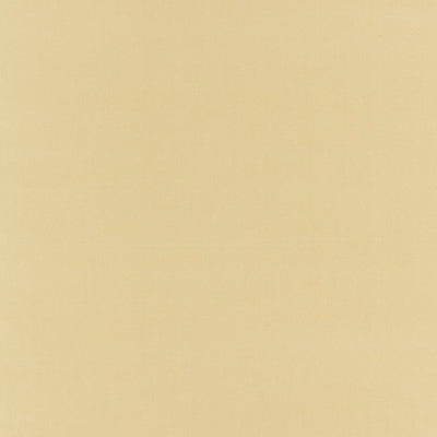 BORIS KROLL FABRICS-BK 0003K65122-RICHMOND VELVET-CHAMOIS