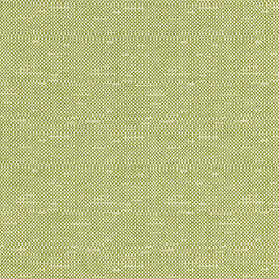 BORIS KROLL FABRICS-BK 0004K65118-CHESTER WEAVE-LEAF