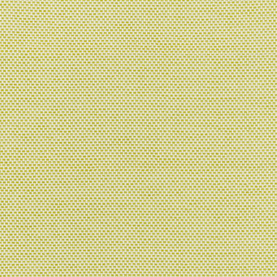 BORIS KROLL FABRICS-BK 0005K65115-BERKSHIRE WEAVE-LIME