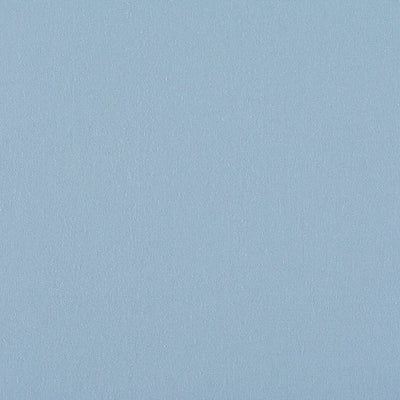 OLD WORLD WEAVERS FABRICS-C5 0050PEBB-CANVAS-BLUEBELL