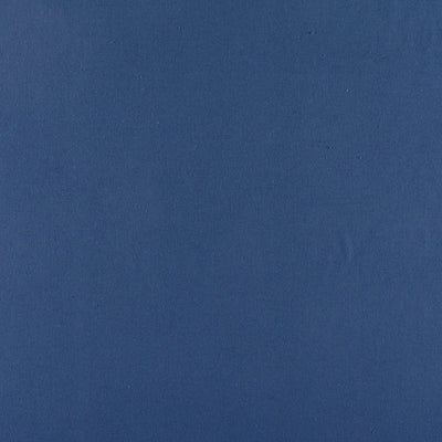 OLD WORLD WEAVERS FABRICS-C5 0055PEBB-CANVAS-NAVY