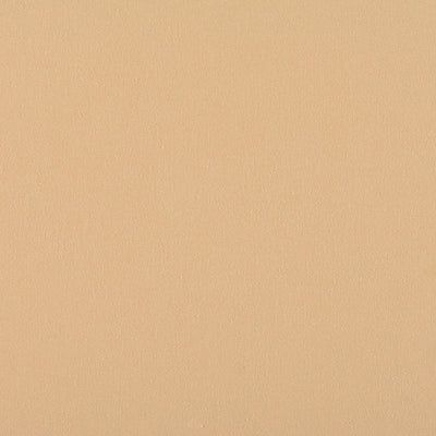 OLD WORLD WEAVERS FABRICS-C5 0102PEBB-CANVAS-SAND