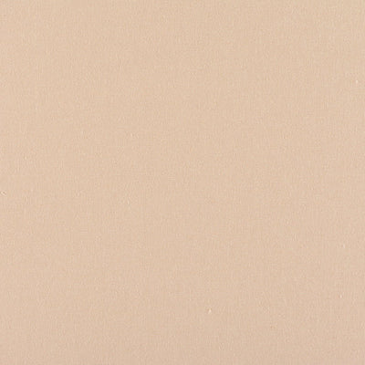 OLD WORLD WEAVERS FABRICS-C5 0199PEBB-CANVAS-LATTE