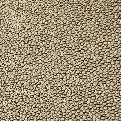 OLD WORLD WEAVERS FABRICS-CA 00775129-GALUCHAT-SAND