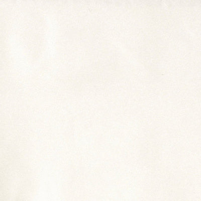 CHRISTIAN FISCHBACHER FABRICS-CH 01002651-ATLAS PLISSE-SUGAR