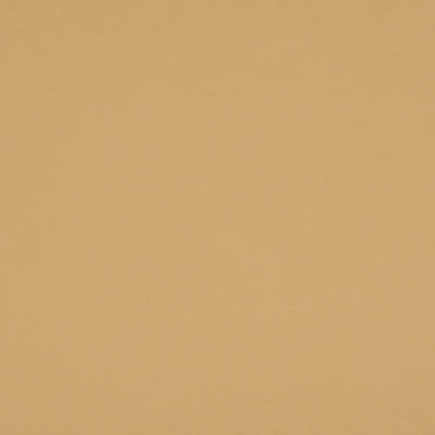 CHRISTIAN FISCHBACHER FABRICS-CH 01034460-ATOMIC FR-STRAW