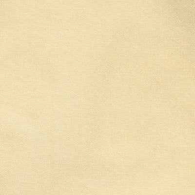CHRISTIAN FISCHBACHER FABRICS-CH 01034540-TAFFETA BS-SAND