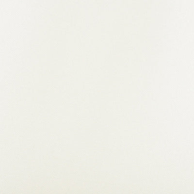 CHRISTIAN FISCHBACHER FABRICS-CH 01042641-FOGGY-ENDIVE