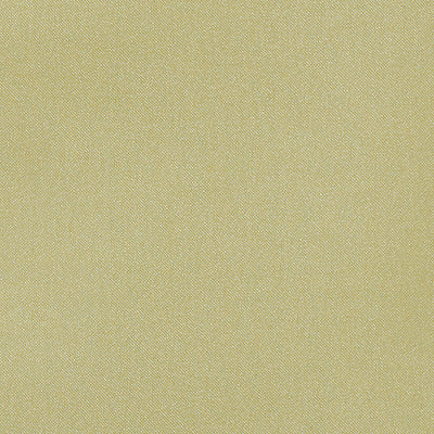 CHRISTIAN FISCHBACHER FABRICS-CH 01044270-ARAMENA-CELADON