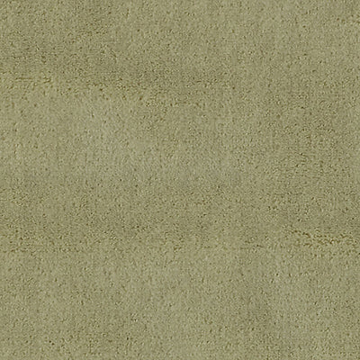 CHRISTIAN FISCHBACHER FABRICS-CH 01044300-APOLLODOR-CUCUMBER