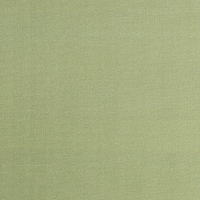 CHRISTIAN FISCHBACHER FABRICS-CH 01044400-SIAM-CELADON