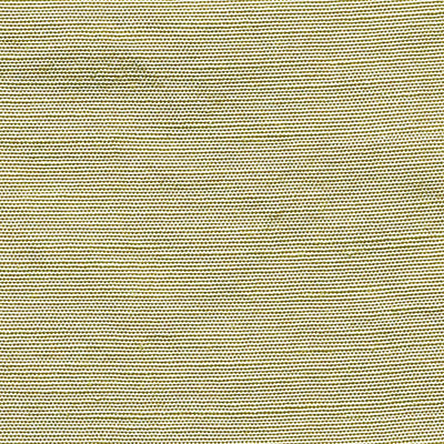CHRISTIAN FISCHBACHER FABRICS-CH 01044410-BELUNA-PEARWOOD
