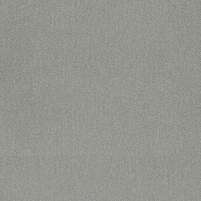 CHRISTIAN FISCHBACHER FABRICS-CH 01054270-ARAMENA-STEEL