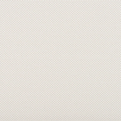CHRISTIAN FISCHBACHER FABRICS-CH 01072641-FOGGY-CREAM
