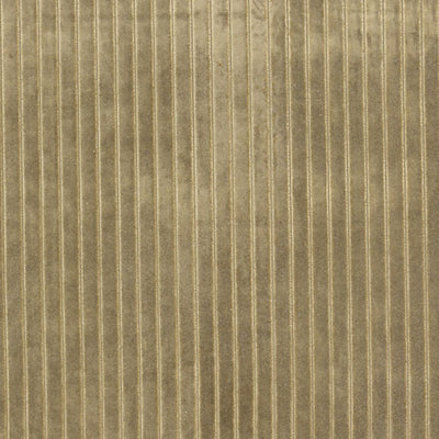 CHRISTIAN FISCHBACHER FABRICS-CH 01074481-VELVET STRIPE-KHAKI