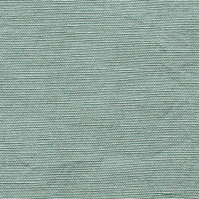 CHRISTIAN FISCHBACHER FABRICS-CH 01094410-BELUNA-CIEL