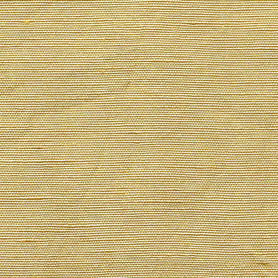 CHRISTIAN FISCHBACHER FABRICS-CH 01134410-BELUNA-STRAW