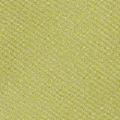CHRISTIAN FISCHBACHER FABRICS-CH 01144270-ARAMENA-AVOCADO