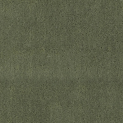 CHRISTIAN FISCHBACHER FABRICS-CH 01144300-APOLLODOR-SAGE