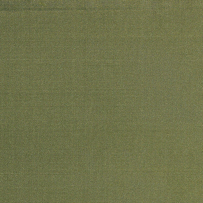 CHRISTIAN FISCHBACHER FABRICS-CH 01144400-SIAM-SPLIT PEA