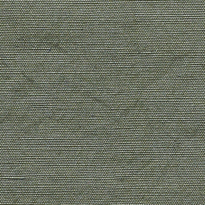 CHRISTIAN FISCHBACHER FABRICS-CH 01144410-BELUNA-MOSS