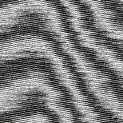 CHRISTIAN FISCHBACHER FABRICS-CH 01154410-BELUNA-STEEL