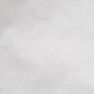 CHRISTIAN FISCHBACHER FABRICS-CH 01154540-TAFFETA BS-BREEZED