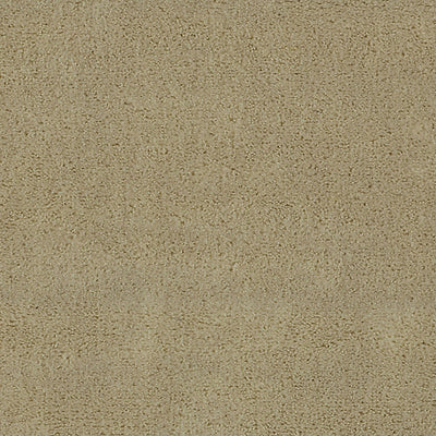 CHRISTIAN FISCHBACHER FABRICS-CH 01174300-APOLLODOR-SAHARA