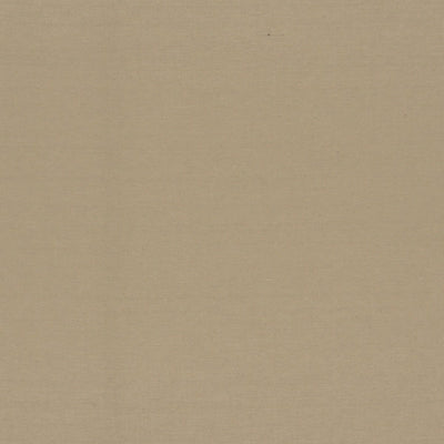 CHRISTIAN FISCHBACHER FABRICS-CH 01174611-LUNA II-ECRU