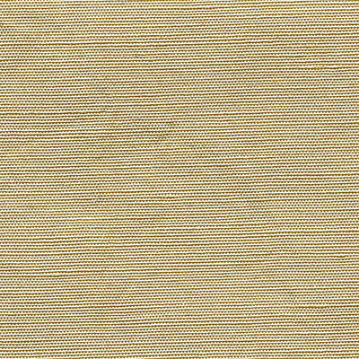CHRISTIAN FISCHBACHER FABRICS-CH 01234410-BELUNA-SUN CASTLE