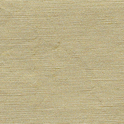 Christian Fischbacher Fabrics , a selection of fabrics such as velvet, damask, cotton, silk, linen and sheers.