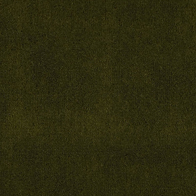CHRISTIAN FISCHBACHER FABRICS-CH 01244300-APOLLODOR-PESTO