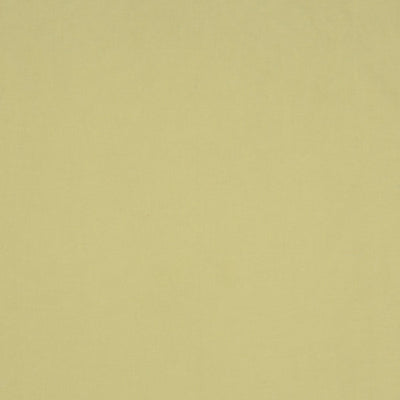 CHRISTIAN FISCHBACHER FABRICS-CH 01244310-SONATINE-KIWI