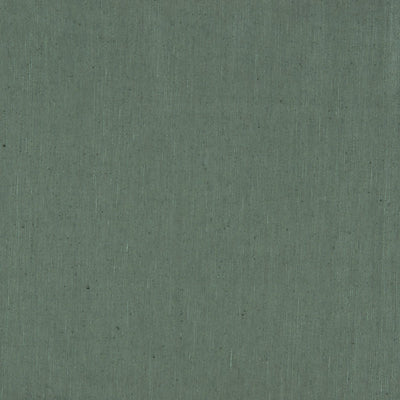 CHRISTIAN FISCHBACHER FABRICS-CH 01244611-LUNA II-SAGE