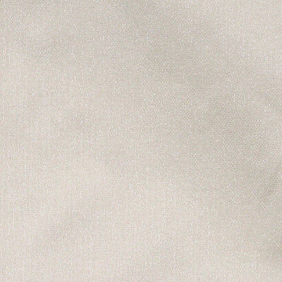 CHRISTIAN FISCHBACHER FABRICS-CH 01254540-TAFFETA BS-PUTTY