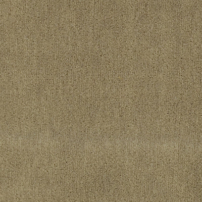 CHRISTIAN FISCHBACHER FABRICS-CH 01274300-APOLLODOR-DESERT