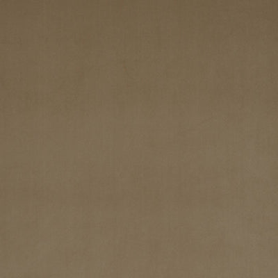 CHRISTIAN FISCHBACHER FABRICS-CH 01371447-VIP-CAMEL
