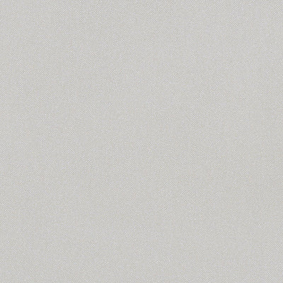 CHRISTIAN FISCHBACHER FABRICS-CH 01374270-ARAMENA-TRAVERTINE