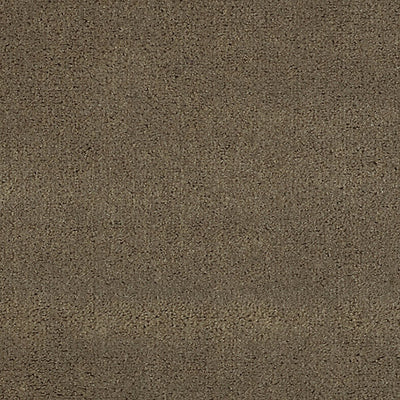 CHRISTIAN FISCHBACHER FABRICS-CH 01374300-APOLLODOR-MINK