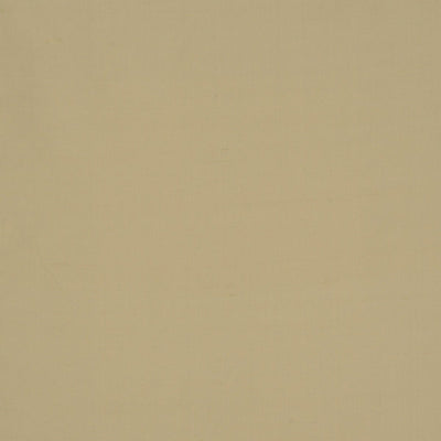 CHRISTIAN FISCHBACHER FABRICS-CH 01374500-JAMILA II-ECRU