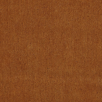 CHRISTIAN FISCHBACHER FABRICS-CH 01434300-APOLLODOR-CARROT